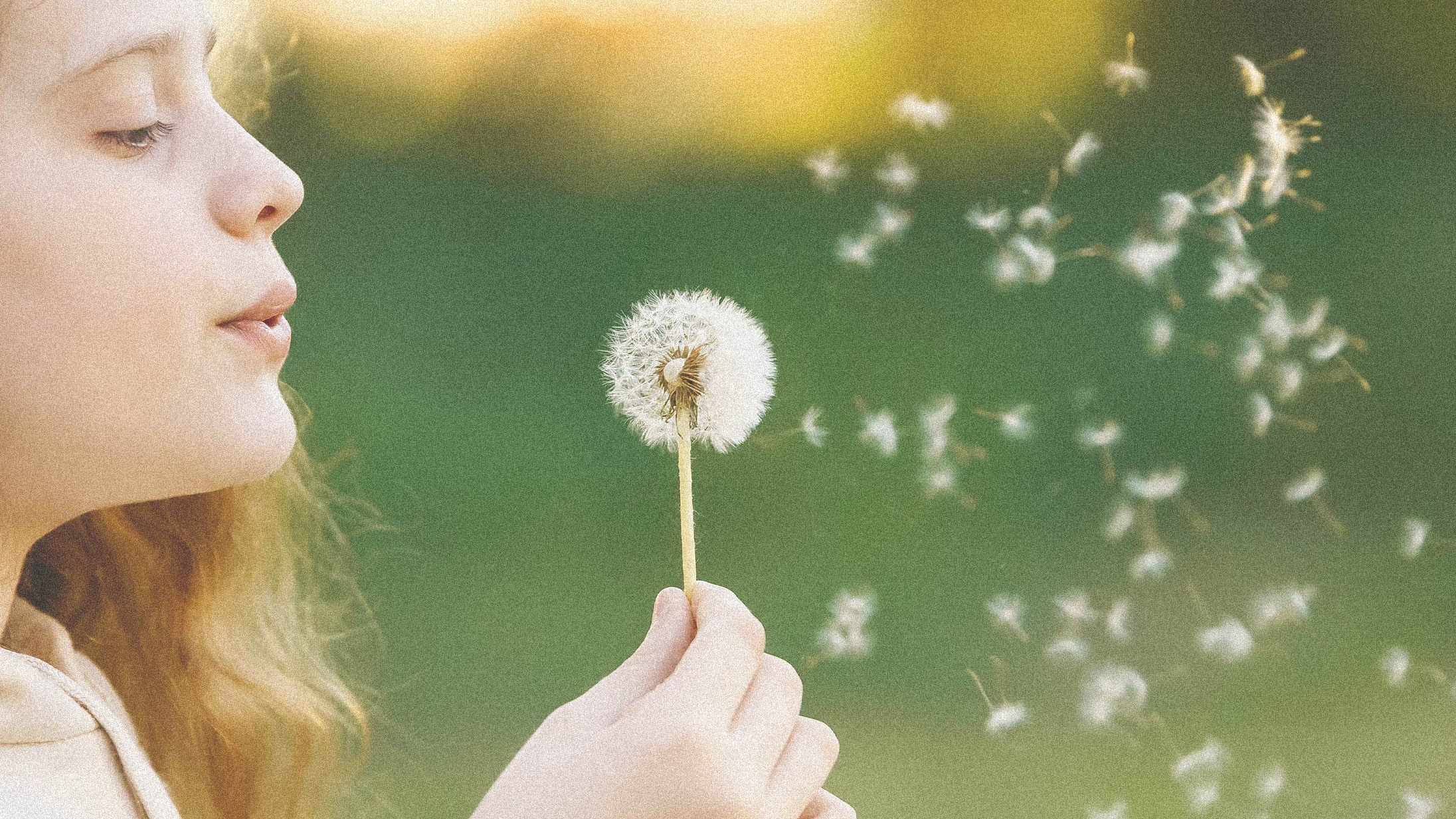 Girl blowing dandelion