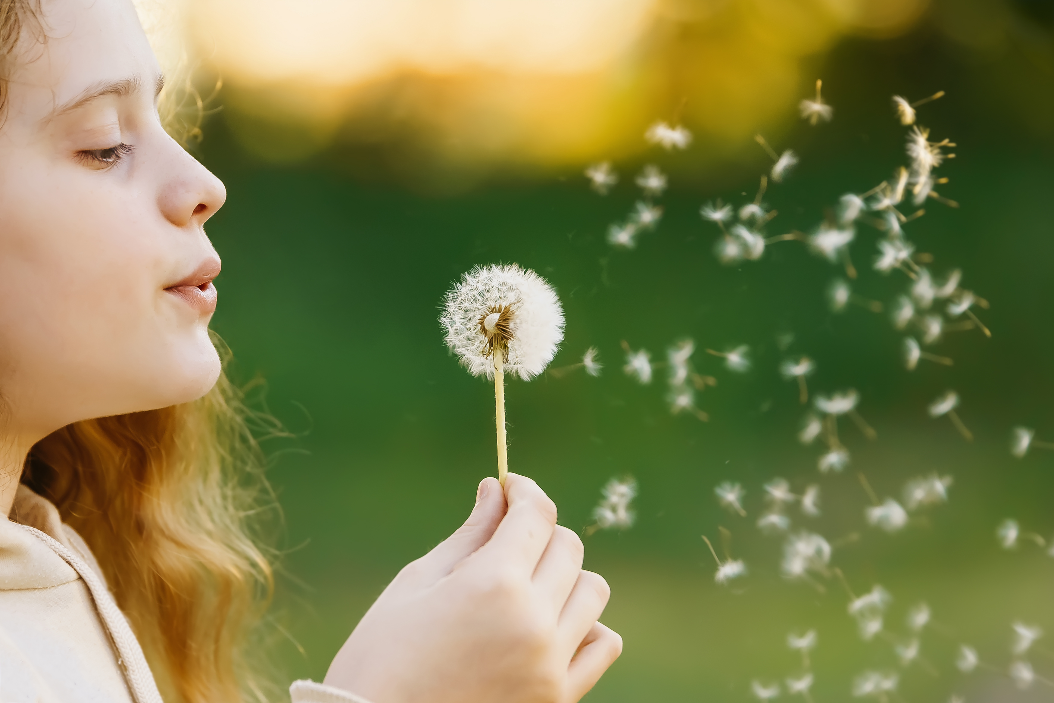 Girl blowing a dandelion