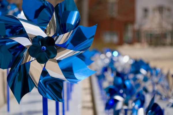 Blue pinwheels