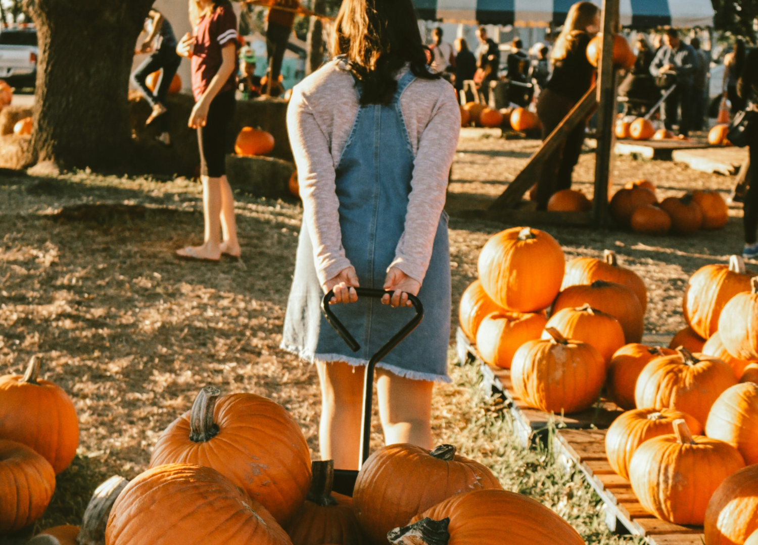 Girl pulling wagon