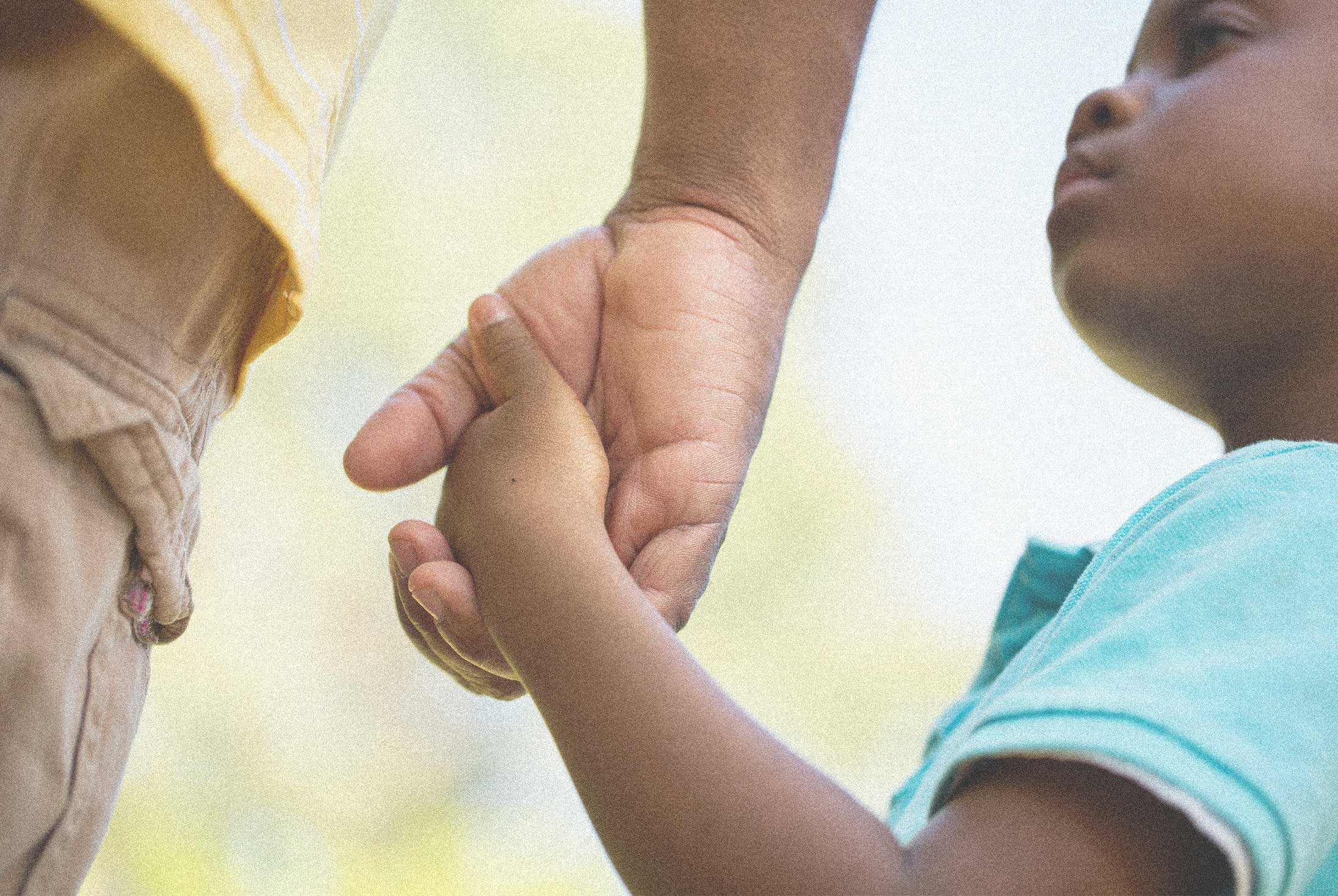 Boy holding hand of adult