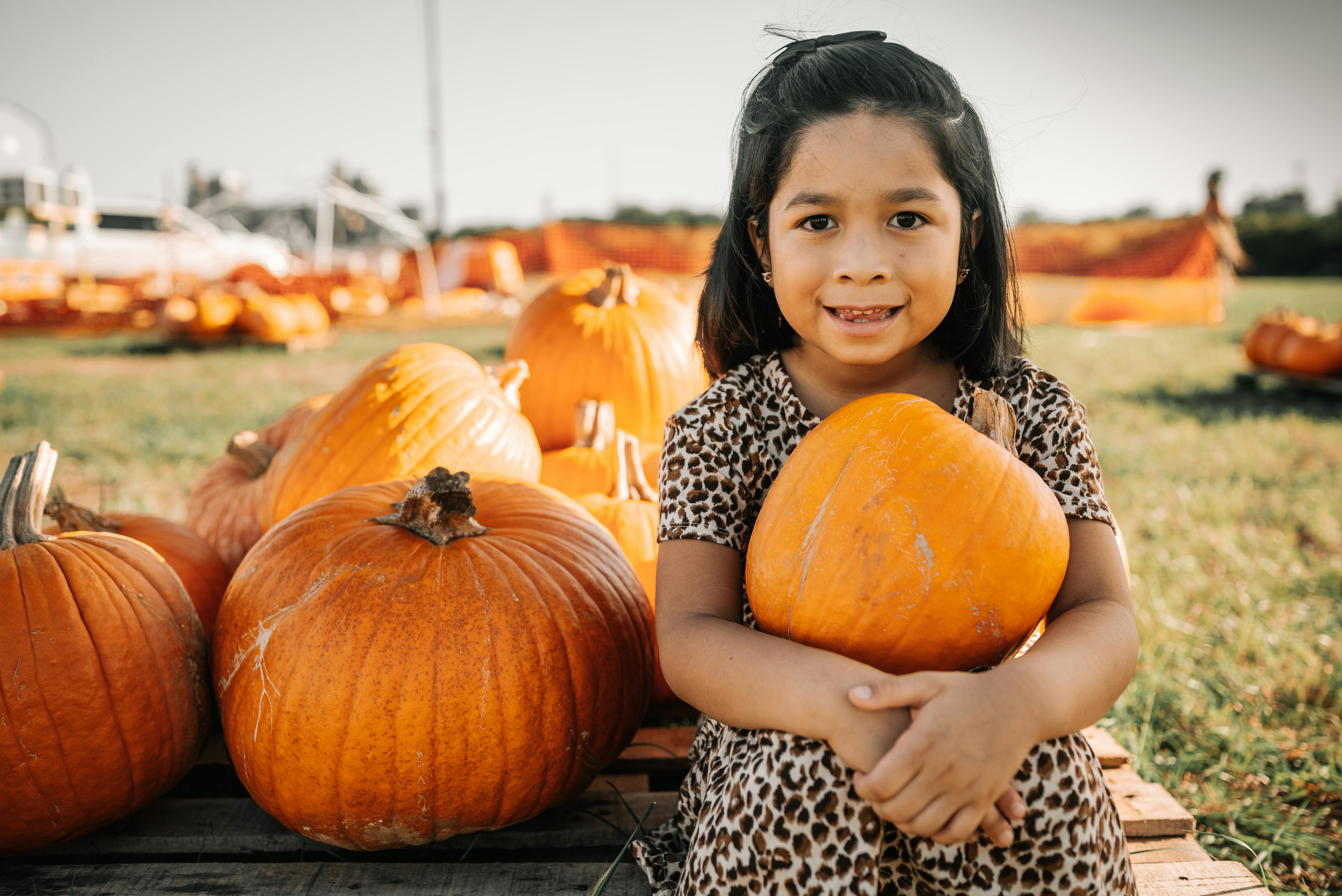 Little girl in pumpkin patch