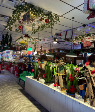 Campo verde interior 2