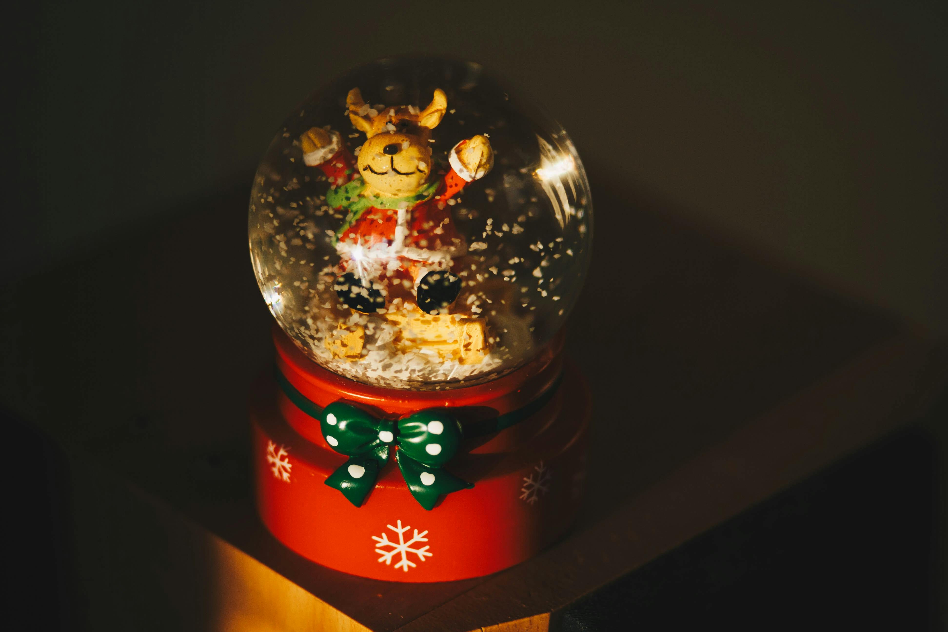 reindeer snow globe