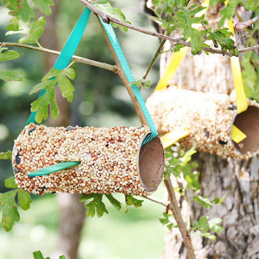 homemade Bird Feeder