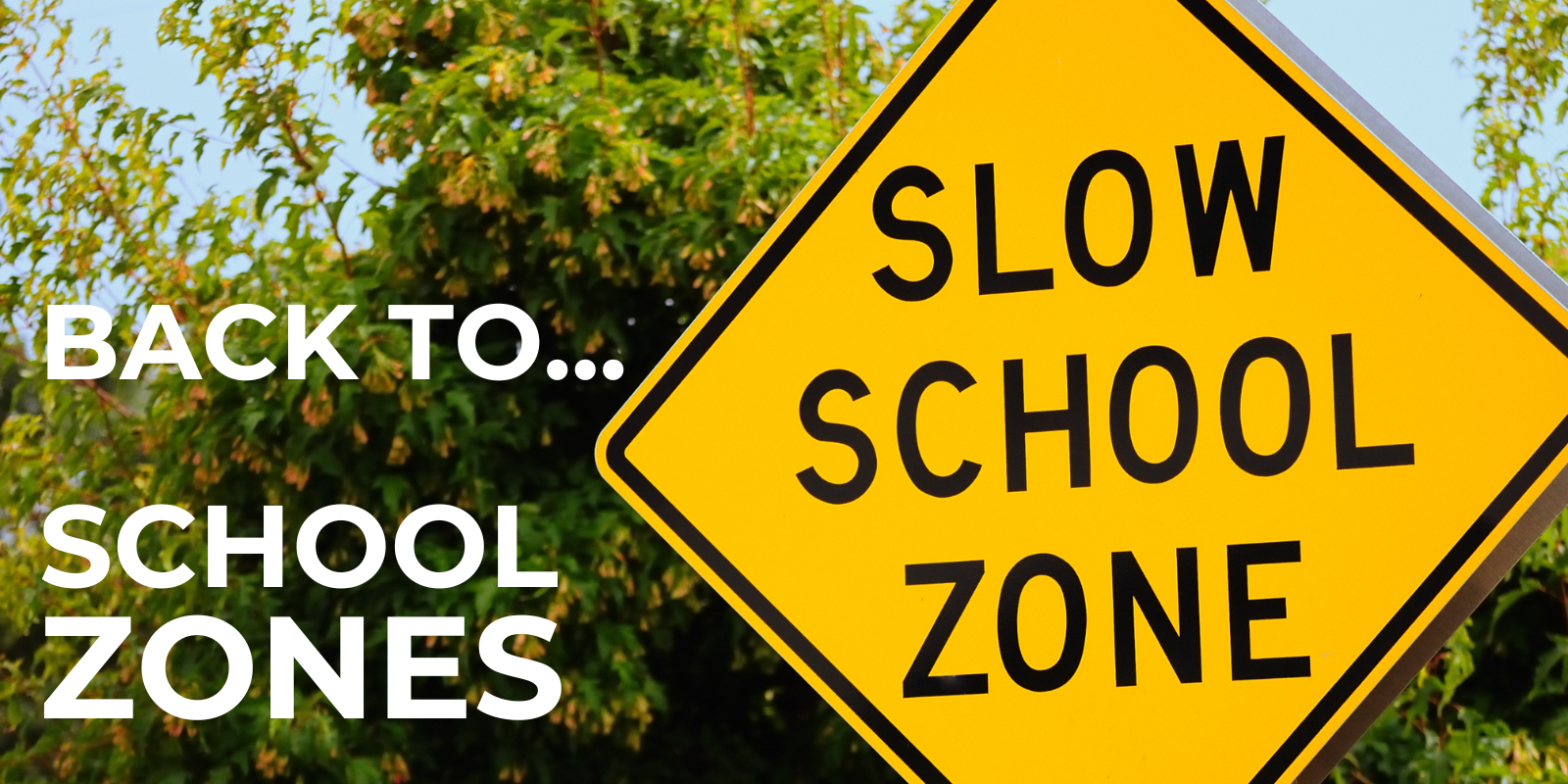 Back to School Zones
