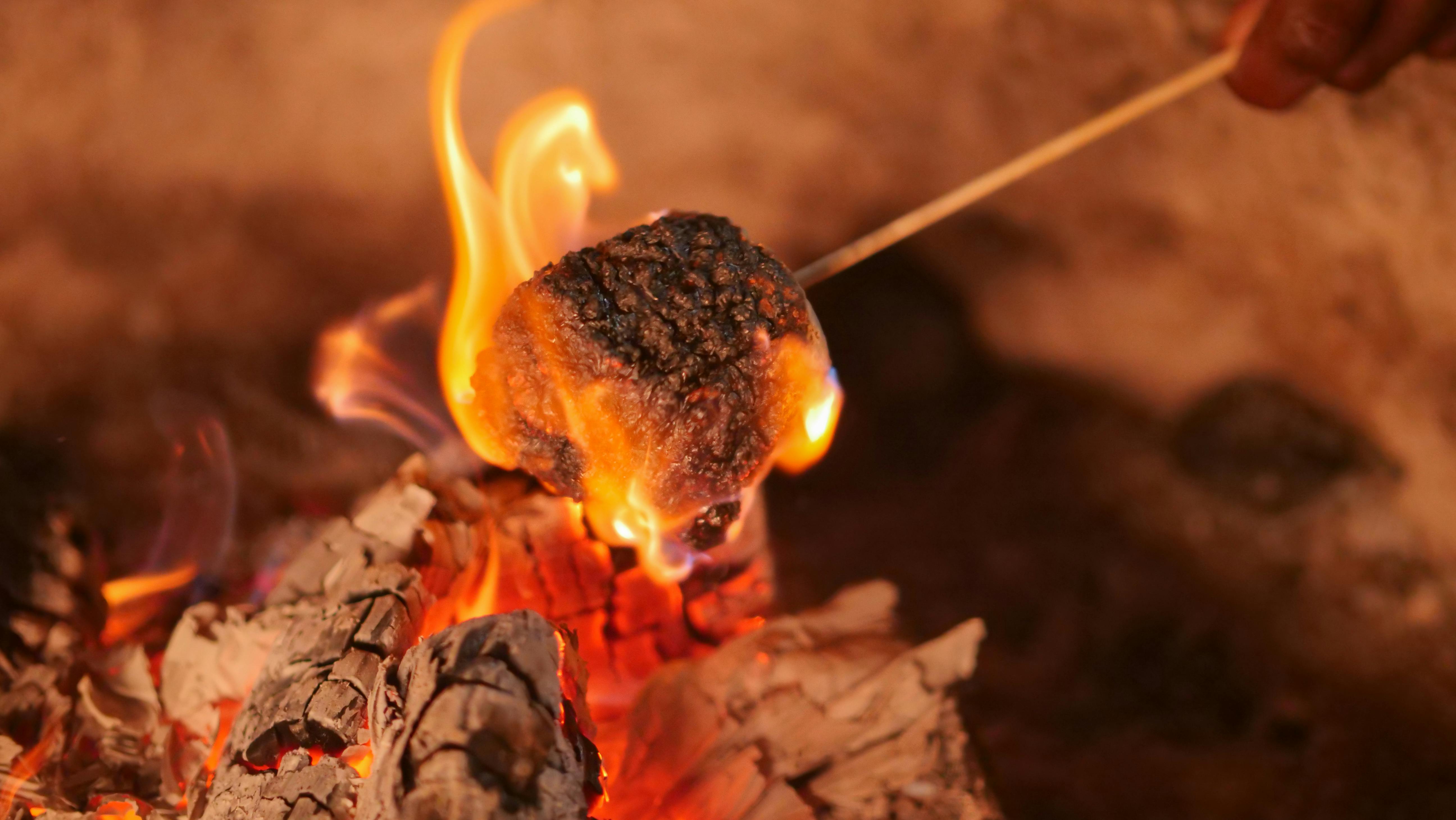 roasting marshmallows