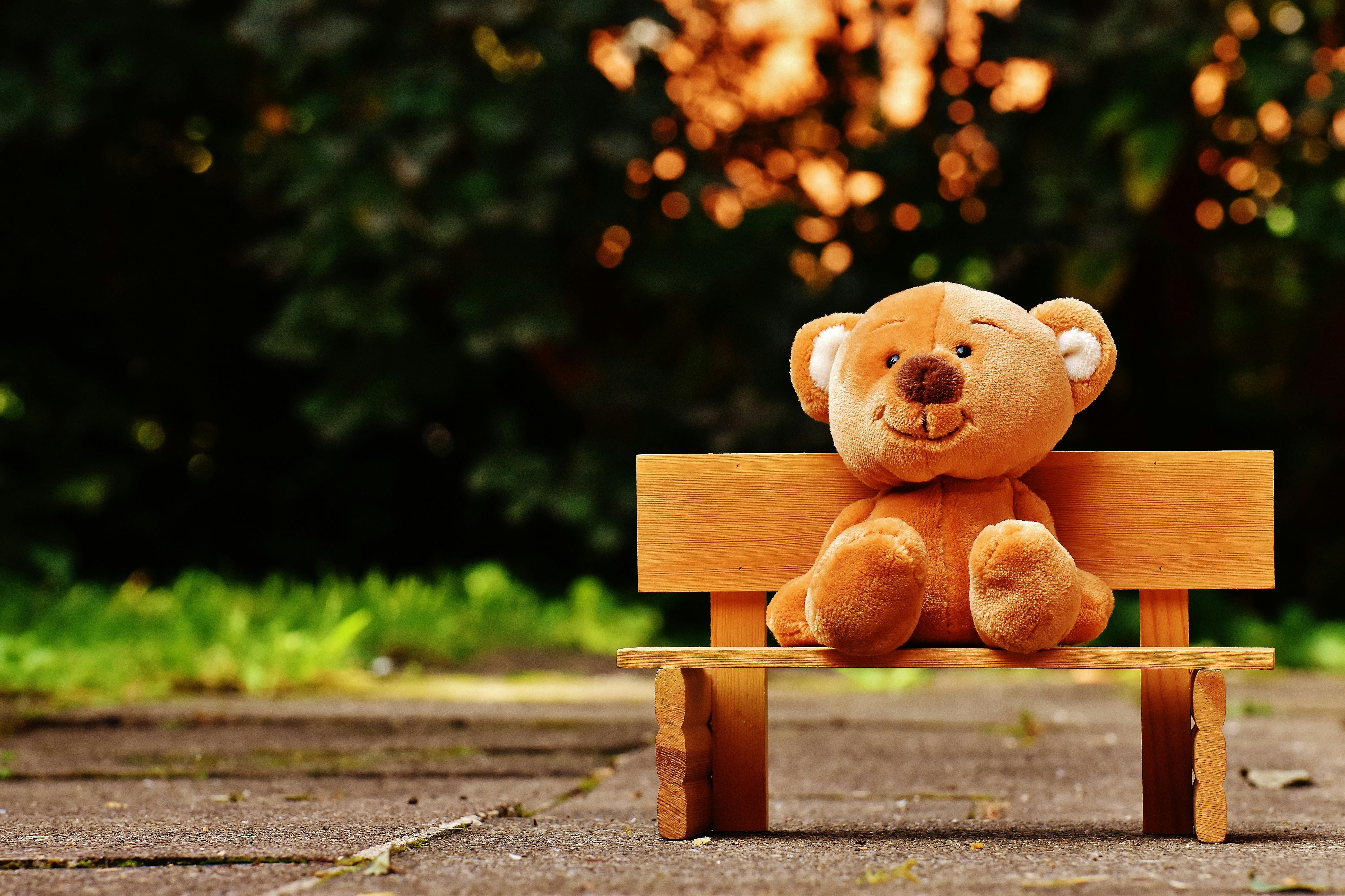 teddy bear on a bench