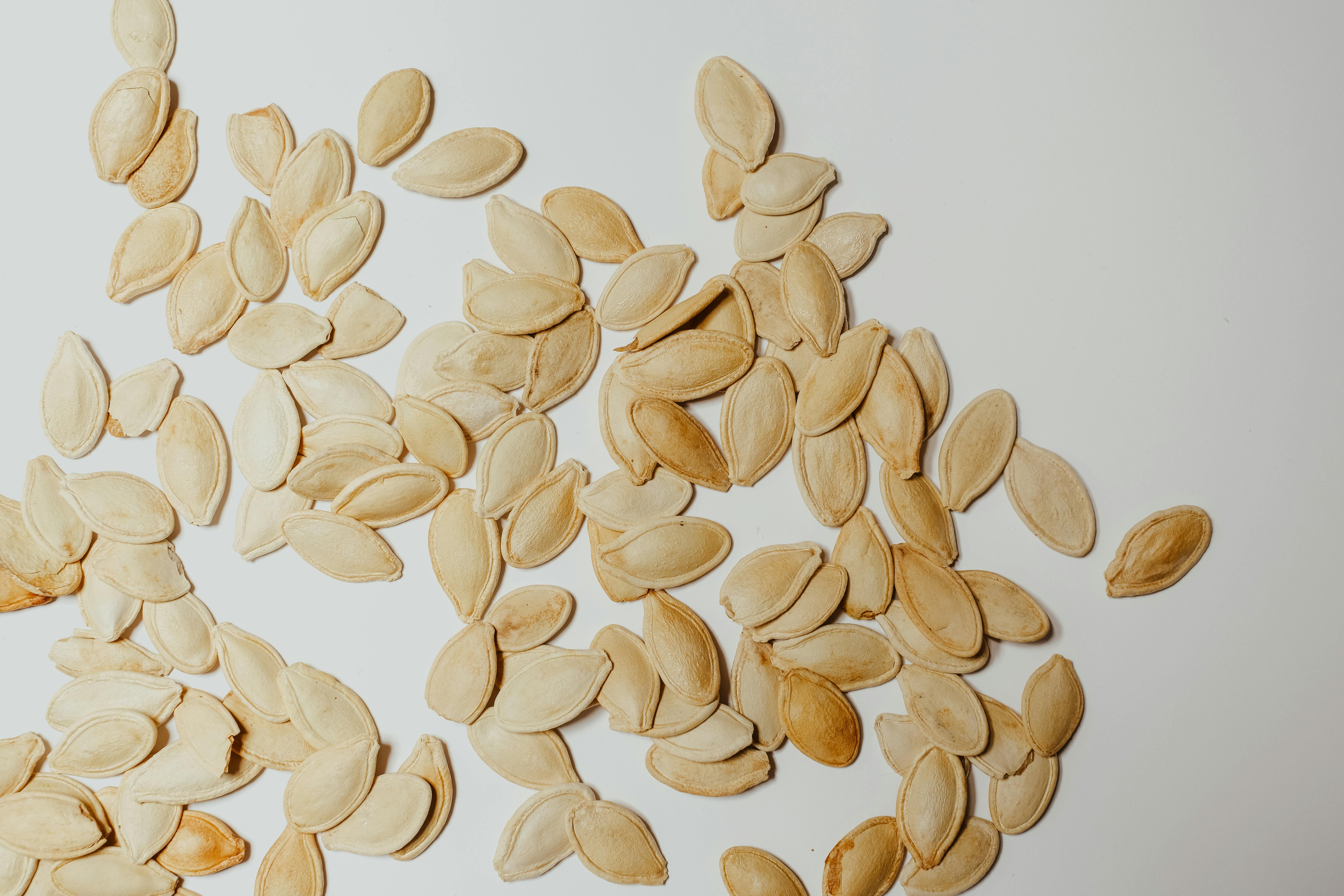 roasted pumpkin seeds