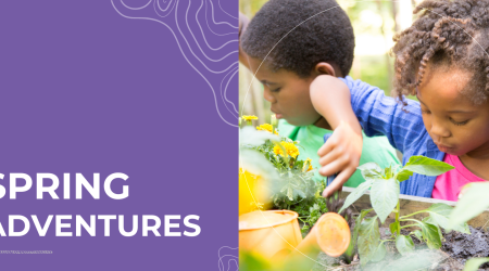 Spring Adventures