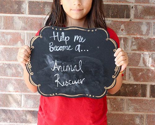 Help Me Become an Animal Rescuer
